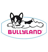 bullyland